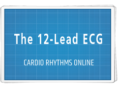 Cardiology Basics: The 12-Lead ECG